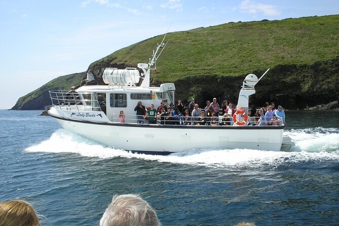 Dingle to Blasket Island Ferry - Should you book the Dingle to Blasket Island Ferry?