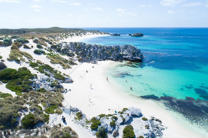 Discover Rottnest with Ferry & Bus Tour - Key points before you book