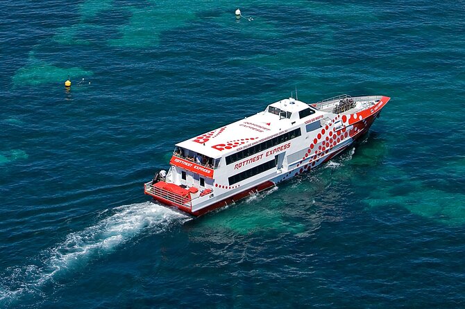 Discover Rottnest with Ferry & Bus Tour - Quokkas without the long search