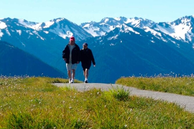 Explore Olympic National Park from Seattle through Van /Ferry - Hurricane Ridge, Snow and High Mountain Views