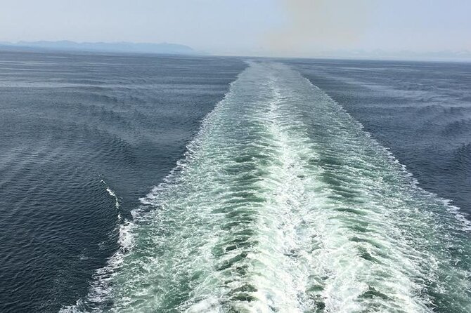 Explore Olympic National Park from Seattle through Van /Ferry - The Olympic Game Farm Adds Fun, but Costs Extra