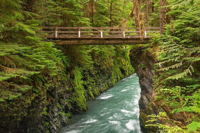 Explore Olympic National Park from Seattle through Van /Ferry - Practical Tips for a Better Day
