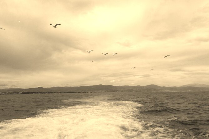 Ferry Benalmádena <> Fuengirola - Price, timing, and real value