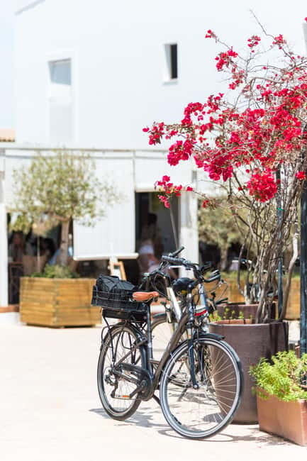 Formentera: discover our fast ferry + bike package - Starting at Ibiza port