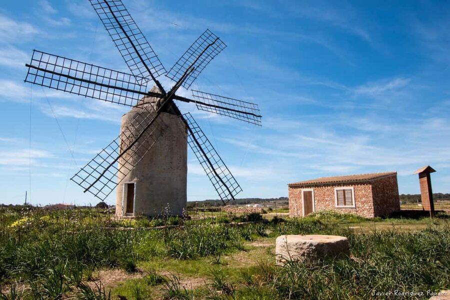Formentera: discover our fast ferry + electric bike package. - Planning your Formentera day