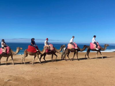 From Cádiz Bay: Tangier Day Trip with Ferry & Local Guide