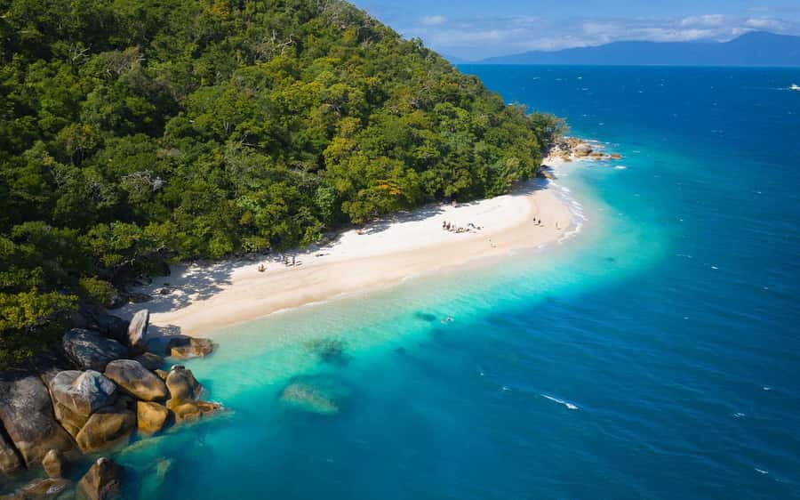 From Cairns: Fitzroy Island Day Trip by Ferry - Key points at a glance