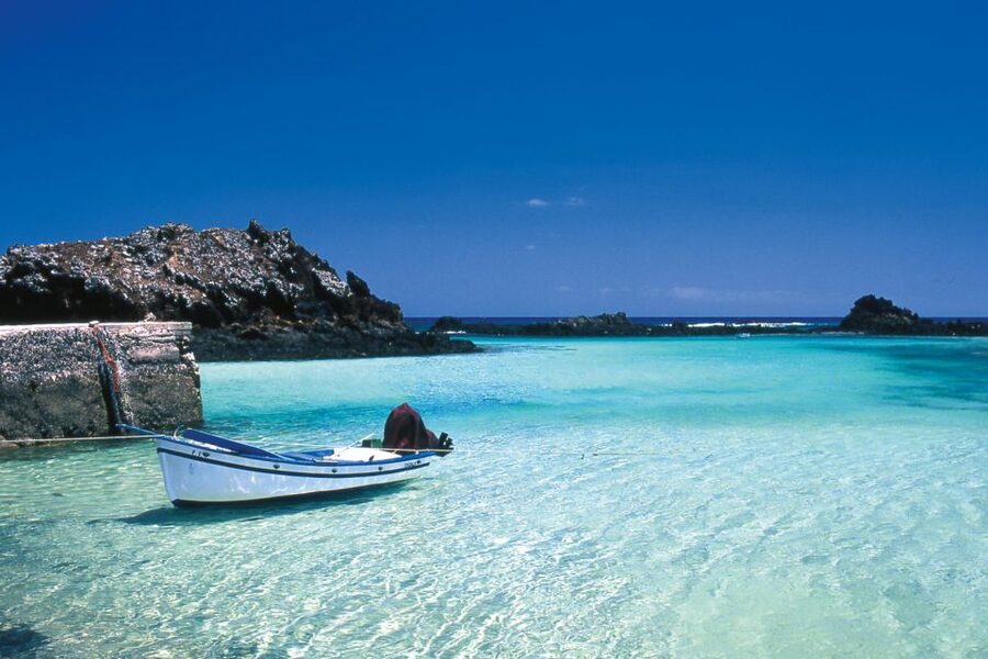 From Caleta de Fuste: Return Bus and Ferry to Lobos Island - Swimming and Snorkeling at La Concha Beach