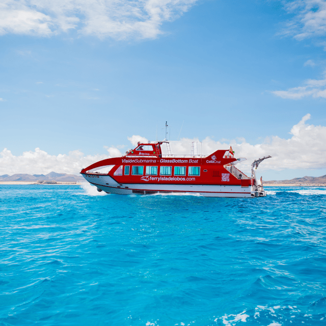 From Caleta de Fuste: Return Bus and Ferry to Lobos Island - Four Hours to Explore Lobos Island