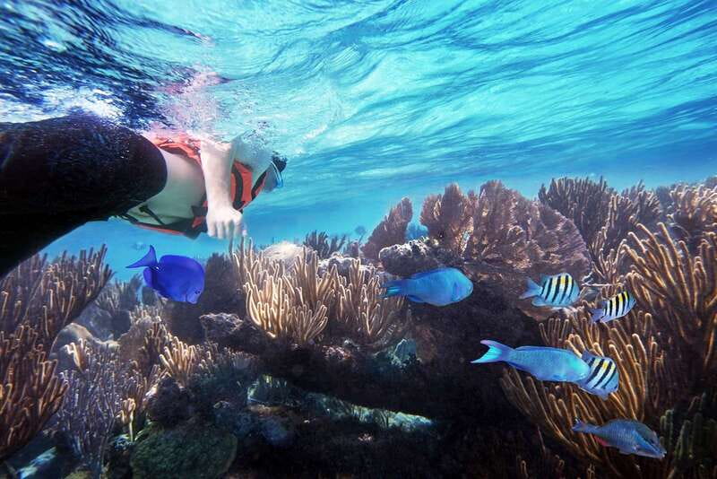 From Cancun: Garrafon Reef Park Admission with Ferry Tickets - Garrafon Reef Park: choose your own pace