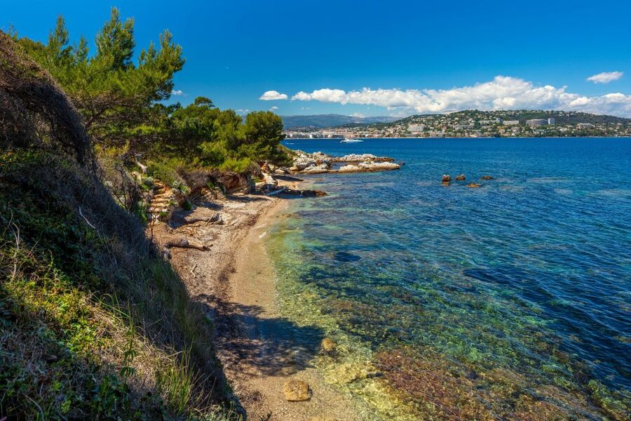 From Cannes: Round-Trip Ferry to Ste. Marguerite Island - Following the pine and eucalyptus trails