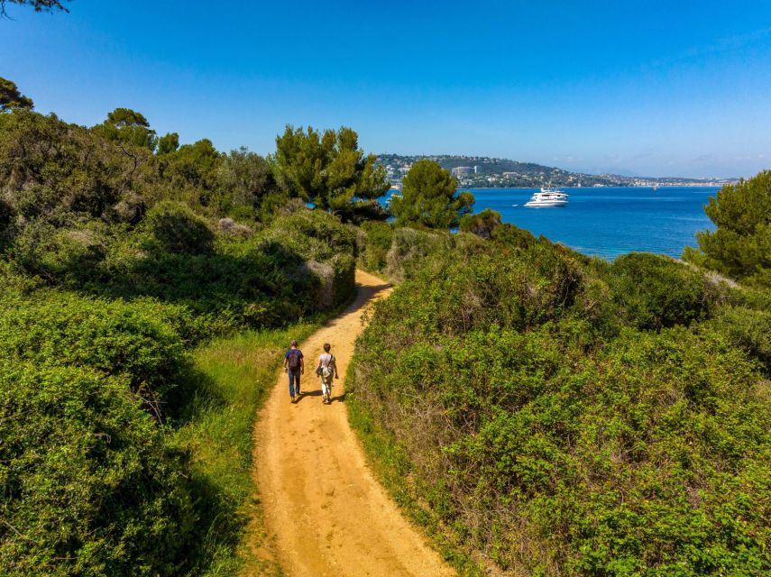From Cannes: Round-Trip Ferry to Ste. Marguerite Island - Food, water, and seasonal planning