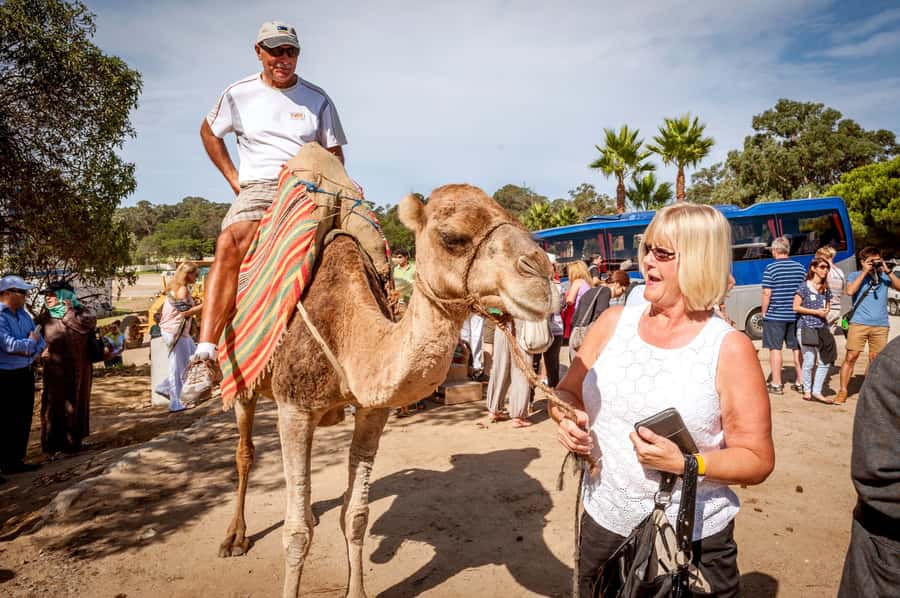 From Costa del Sol: Tangier Full-Day Tour by Ferry - From Costa del Sol to Tarifa before sunrise