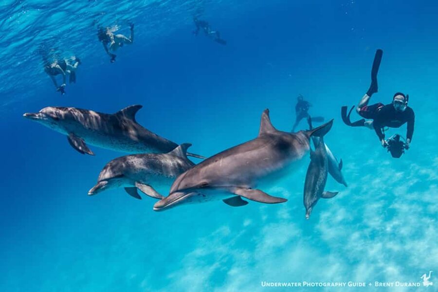 From Fort Lauderdale: Bimini Island Day Trip by Ferry - What the six island hours are really worth