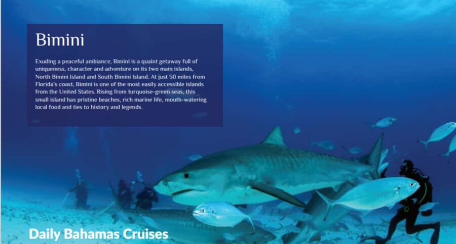 From Fort Lauderdale: Bimini Island Day Trip by Ferry - Accessibility and physical demands