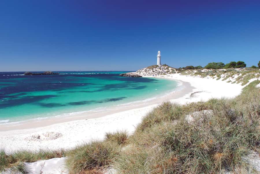 From Fremantle: Rottnest Island Ferry and Bike Day Tour - Is $87 good value for a full day?