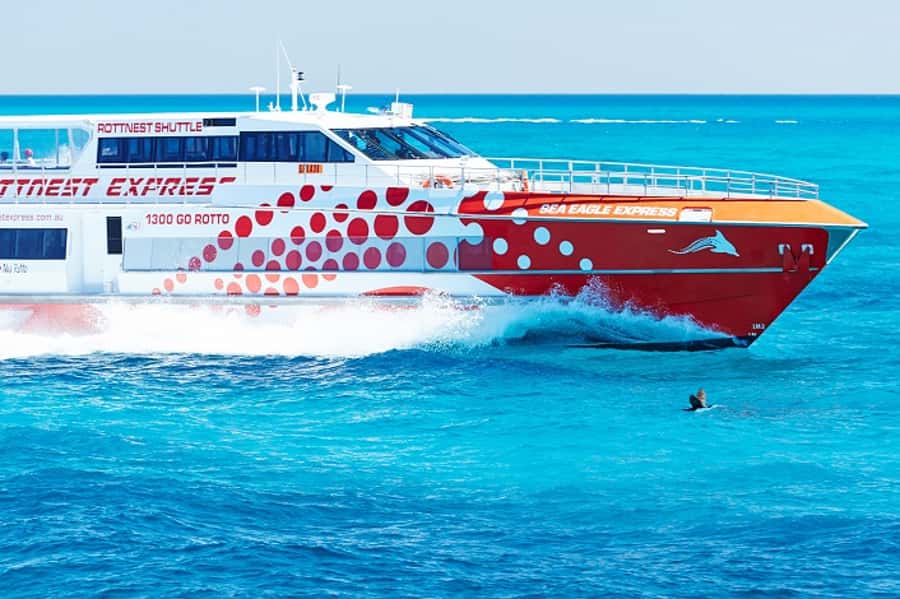 From Fremantle: Rottnest Island Ferry & Bus Day Tour - Key points to know before you book