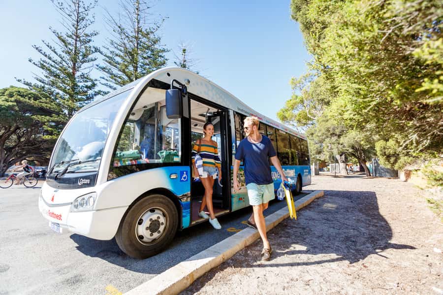 From Fremantle: Rottnest Island Ferry & Bus Day Tour - Why this Fremantle day trip works