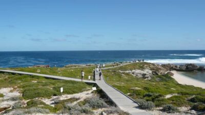 Rottnest Island Ferry & Bus Day Tour