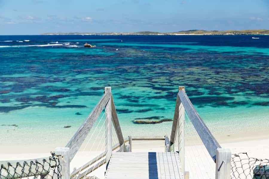 From Fremantle: Rottnest Island Ferry & Bus Day Tour - Beaches, bays, and Wadjemup Lighthouse