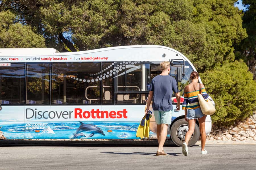 From Fremantle: Rottnest Island Ferry & Bus Day Tour - Bike hire versus the bus