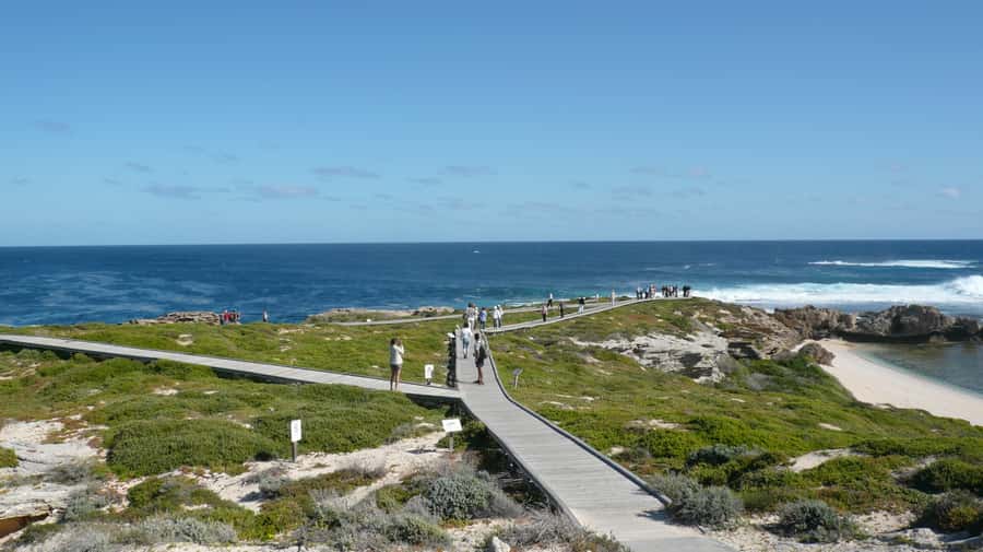 From Fremantle: Rottnest Island Ferry & Bus Day Tour - Starting at Victoria Quay in Fremantle