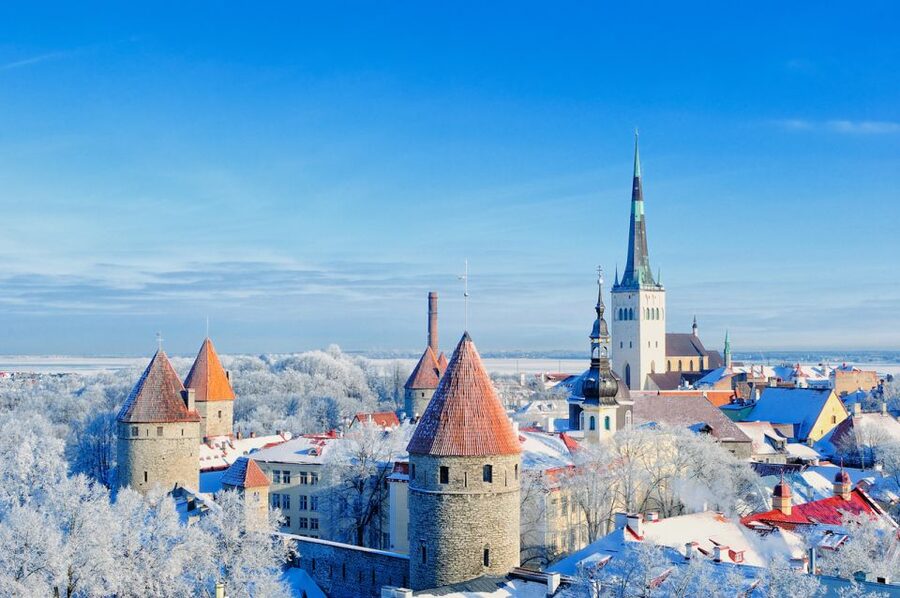 From Helsinki: Tallinn Guided Full-Day Tour by Ferry - Raeapteek, the Great Guild, and the old street grid