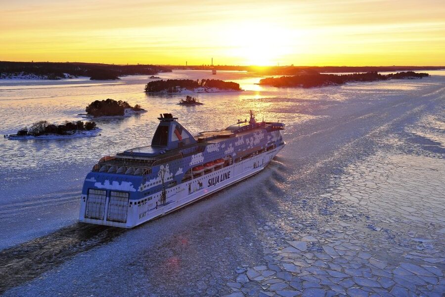 From Helsinki: Tallinn Guided Full-Day Tour by Ferry - Free time for your own Tallinn choices