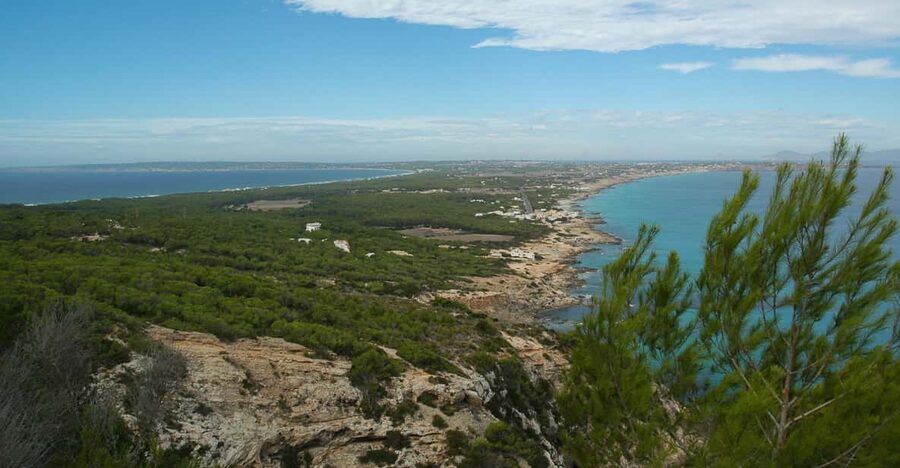From Ibiza: Ferry and Guided Bus Excursion in Formentera - The Mirador viewpoint and island-wide views