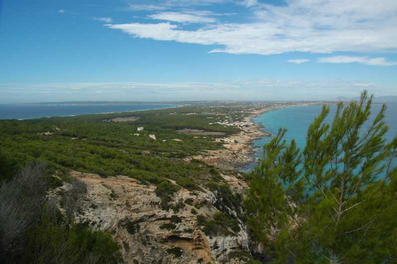 From Ibiza: Ferry and Guided Bus Excursion in Formentera - Es Pujols, Mitjorn, and the main beach break