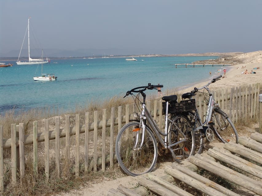 From Ibiza: Ferry and Guided Bus Excursion in Formentera - What the group size means for your day