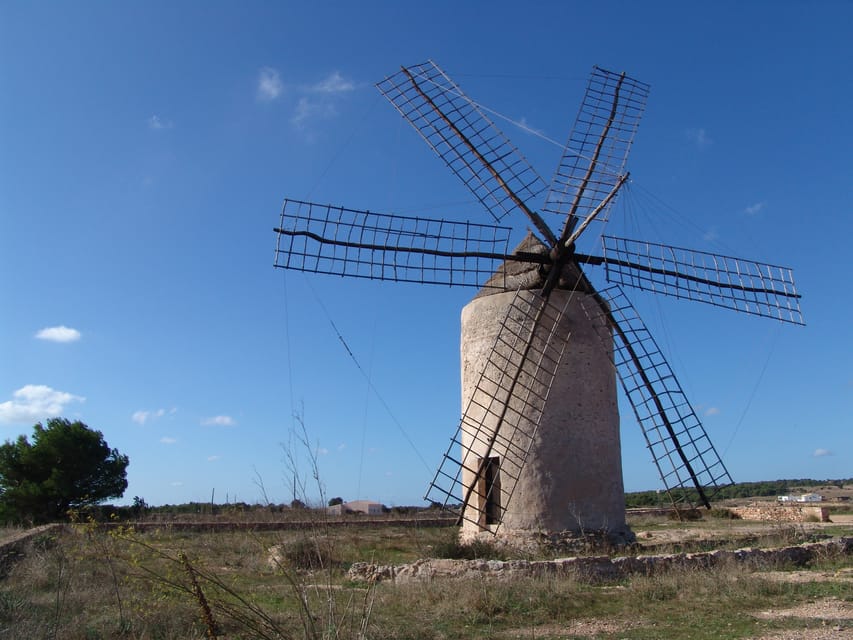 From Ibiza: Ferry and Guided Bus Excursion in Formentera - Is $111 a fair price?