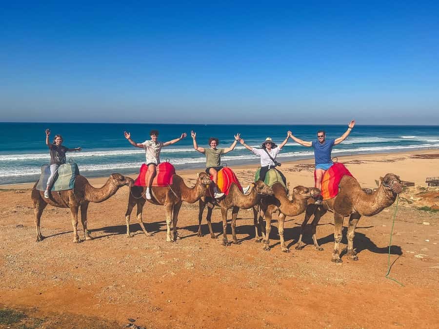 From Malaga: Tangier Day Trip with Ferry, Camel & Souks - From Malaga to Tarifa, then across the Strait