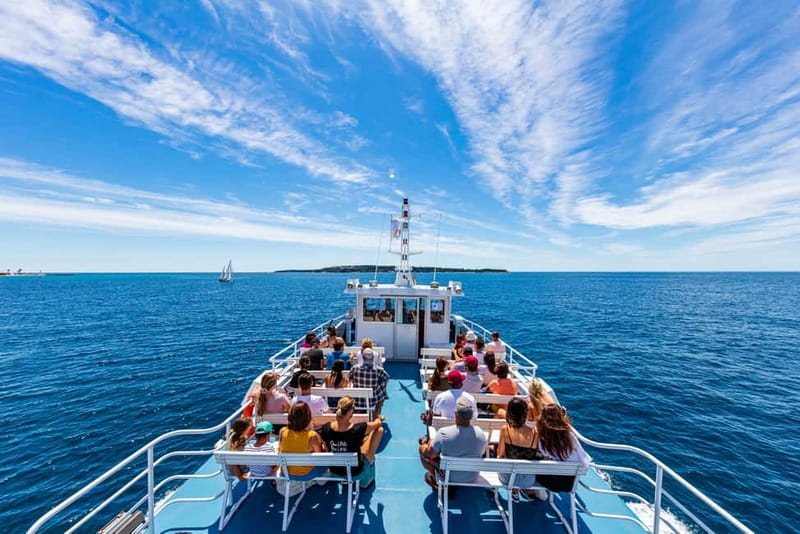 From Mandelieu: St. Marguerite Island Roundtrip Ferry Ride - Should you book the St. Marguerite Island ferry?