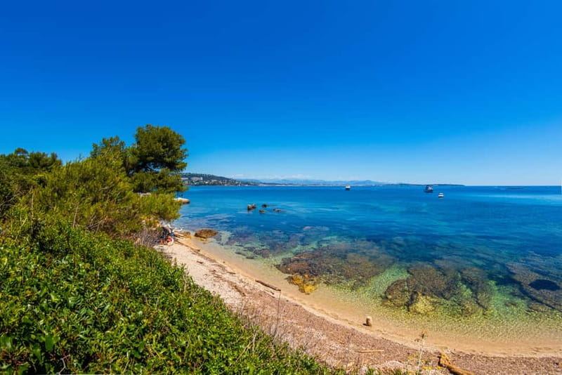 From Mandelieu: St. Marguerite Island Roundtrip Ferry Ride - Choosing the right ferry schedule