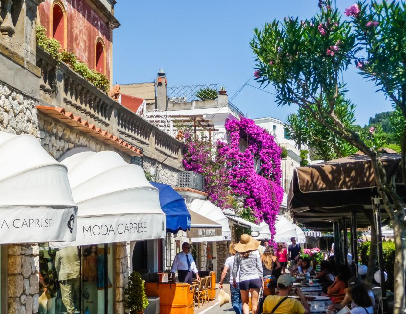 From Naples: Capri Guided Tour with Ferry Tickets & Minibus - What the guides add to the experience