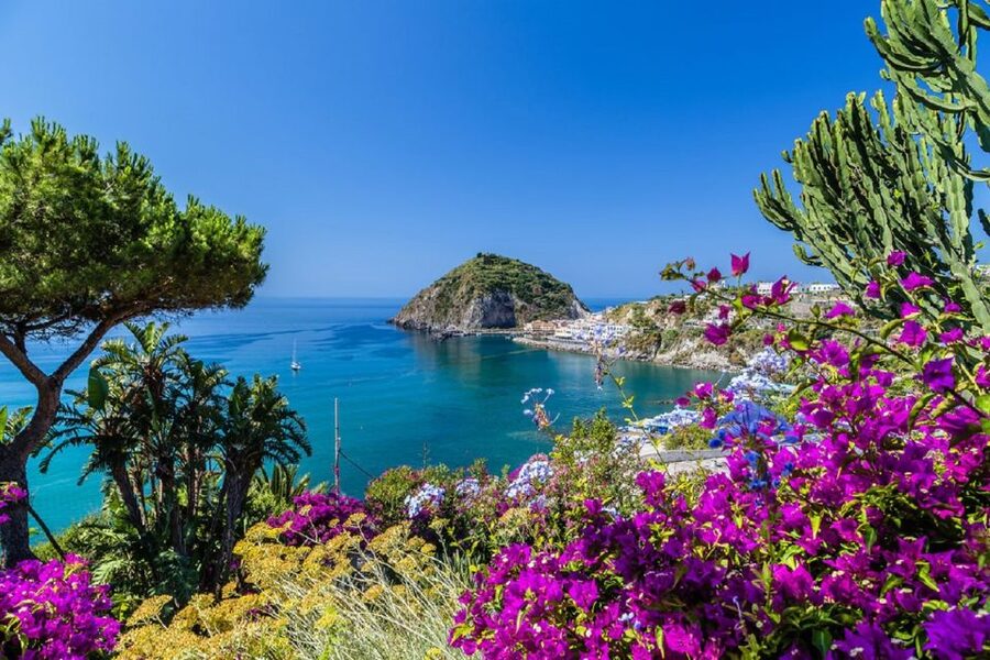 From Naples: Ischia Day Trip with Ferry Tickets and Lunch - Starting at Molo Beverello at 8:00 am