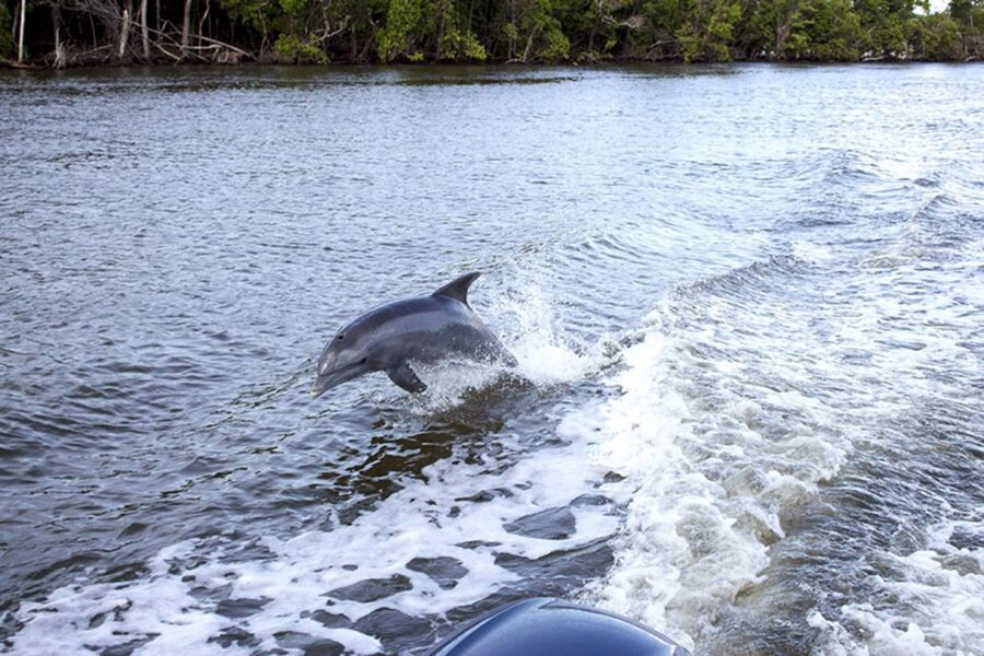 From Panama City, FL: Shell Island Ferry - Shell Island Ferry: Key Points