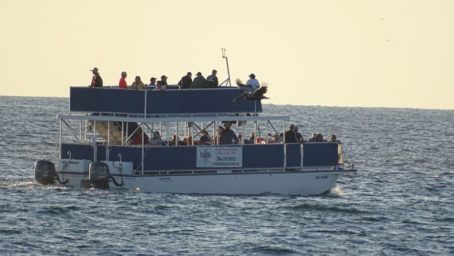 From Panama City, FL: Shell Island Ferry - Preparing for an Unserviced Beach
