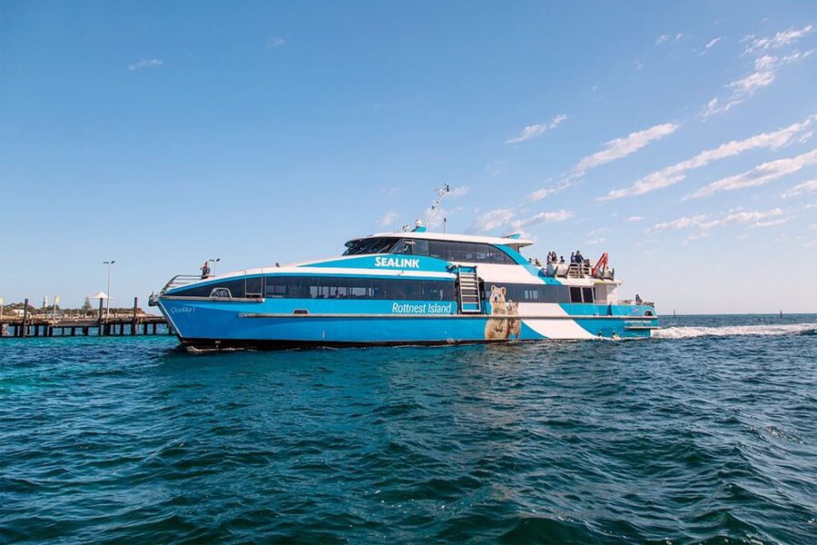 From Perth or Fremantle: Rottnest Island Ferry and Bus Tour - Should you book the ferry and bus tour?