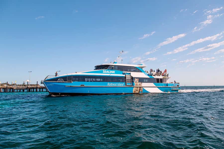 From Perth or Fremantle: Rottnest Island Ferry and Bus Tour - What the 105-minute bus tour actually covers