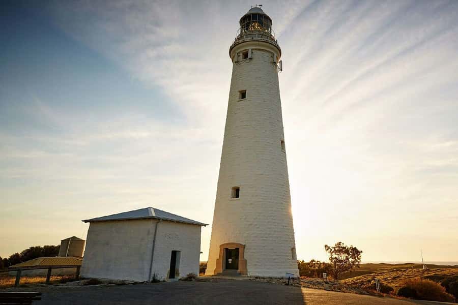 From Perth or Fremantle: Rottnest Island Ferry and Bus Tour - Quokkas, beaches, and your free time