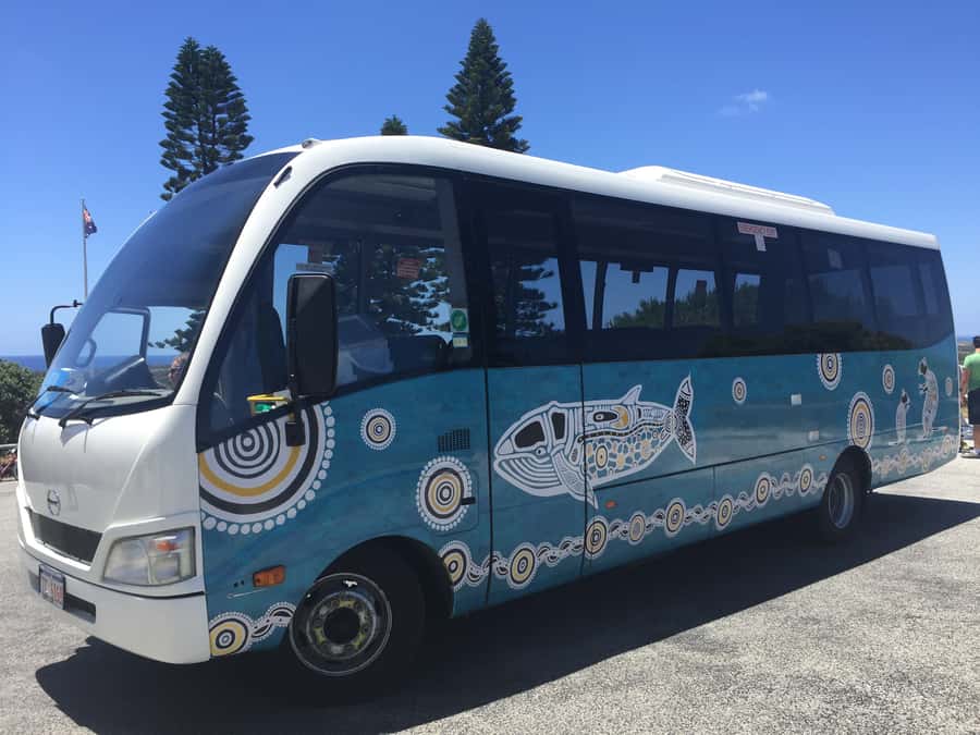 From Perth or Fremantle: Rottnest Island Ferry and Bus Tour - Who should book this Rottnest package?