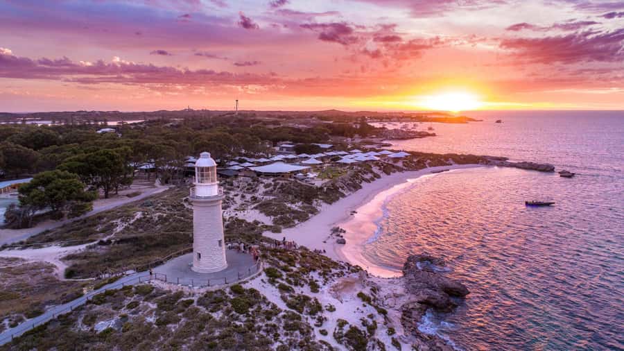 From Perth: Rottnest Island Ferry & Bus Day Tour - The 90-minute coach circuit around Rottnest