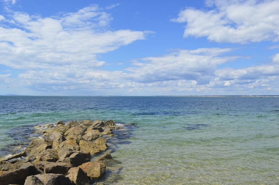 From Portsmouth: Isle of Wight Day Tour by Bus and Ferry - What the $106 price really covers