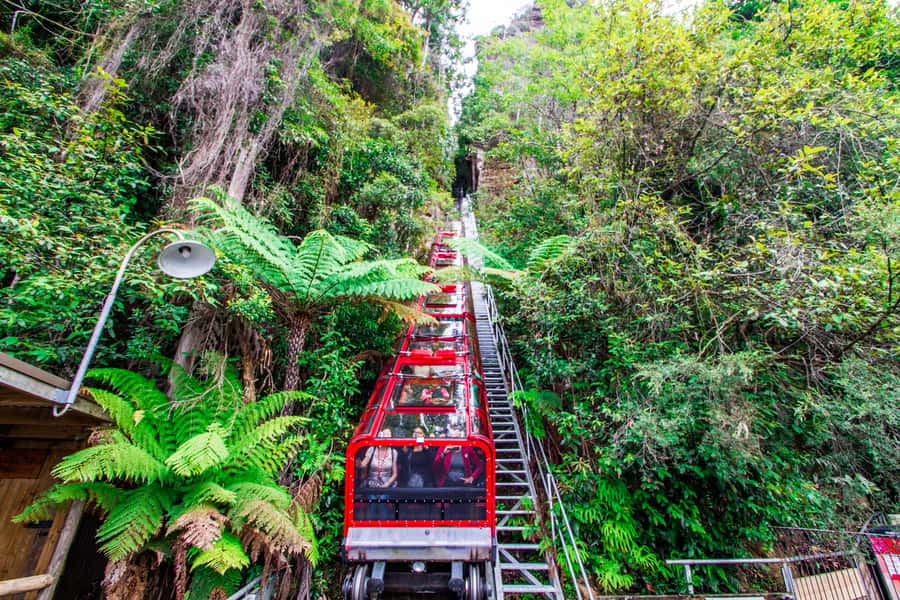 From Sydney: Blue Mountains, Scenic World, Zoo, & Ferry Ride - Key points at a glance
