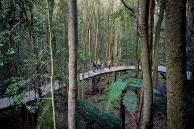 Blue Mountains, Scenic World, Zoo, & Ferry Ride