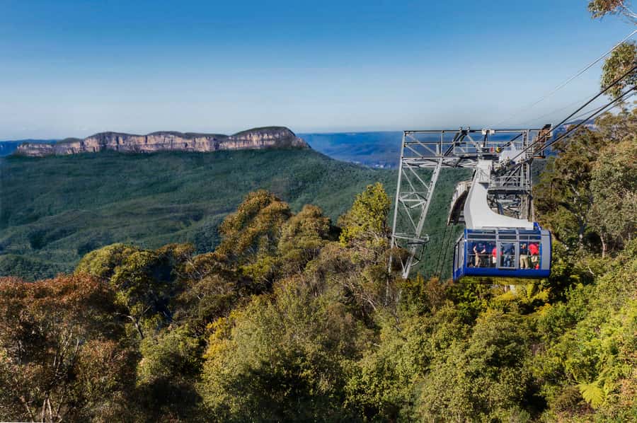 From Sydney: Blue Mountains, Scenic World, Zoo, & Ferry Ride - The guides make a real difference
