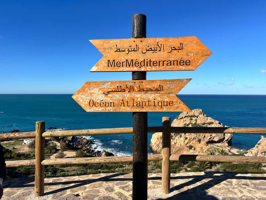From Tarifa: Tangier Day Trip with Lunch and Ferry - The bus ride makes a one-day Tangier visit possible