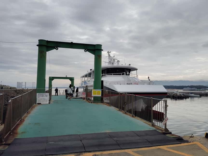 Fukuoka: Cat Island, Ainoshima Guided Tour with Ferry Ride - What the guide adds to the experience